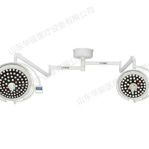 LED700 500紅綠光款